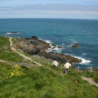 Wandelpad langs kust bij St Ives